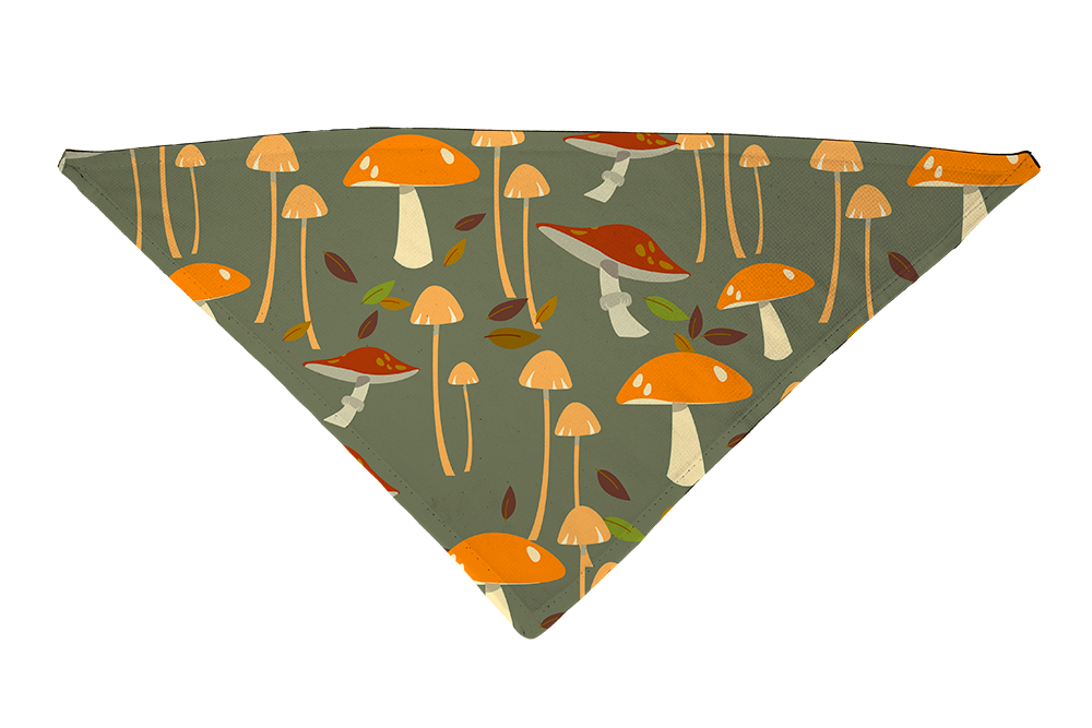 Bandana pour chien sous le sol de la forêt