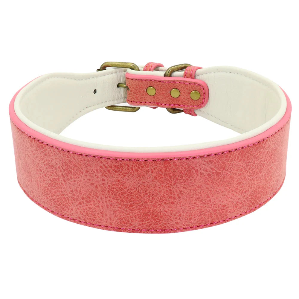 Collier Large Luxe - Cuir rembourré pour grands chiens