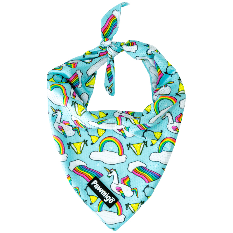 Pañuelo Pool Pawty
