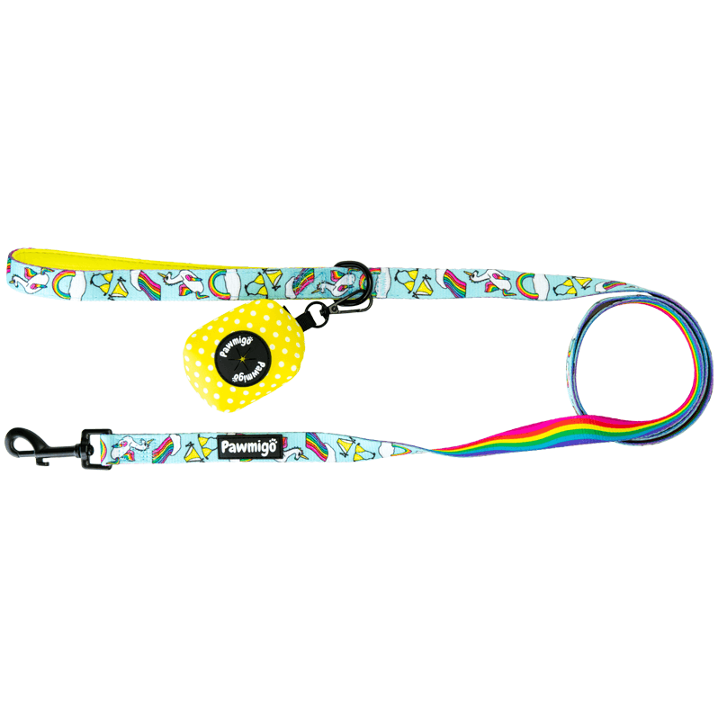 Kit de laisse pour fête à la piscine