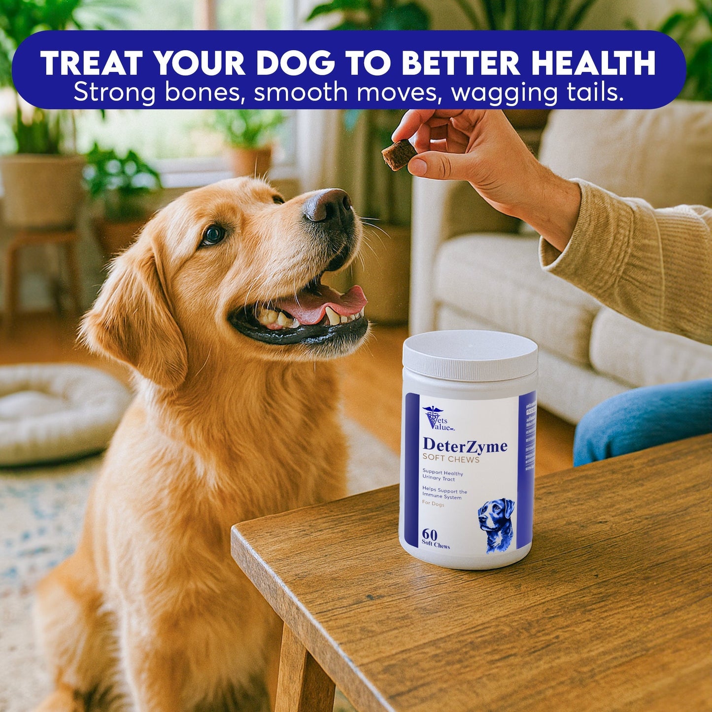 DeterZyme - Repelente de heces para perros - 60 masticables blandos - Ayuda a desalentar el consumo de heces - Con enzimas digestivas, prebióticos y una mezcla de hierbas naturales - Favorece la salud intestinal y refresca el aliento