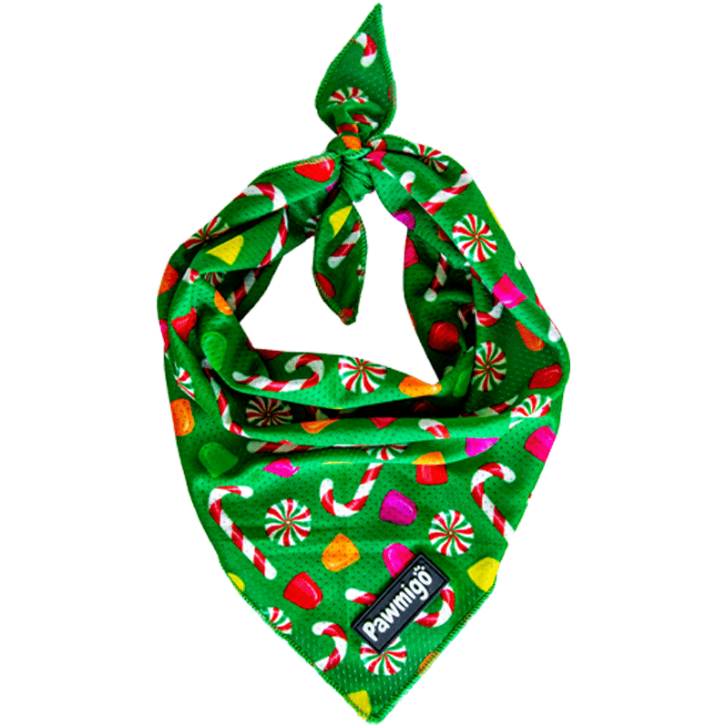 Bandana rafraîchissant à la menthe poivrée