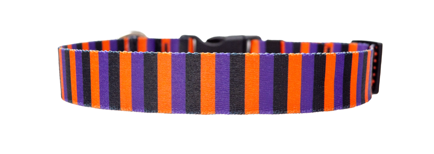 Collar para perro con rayas de bruja