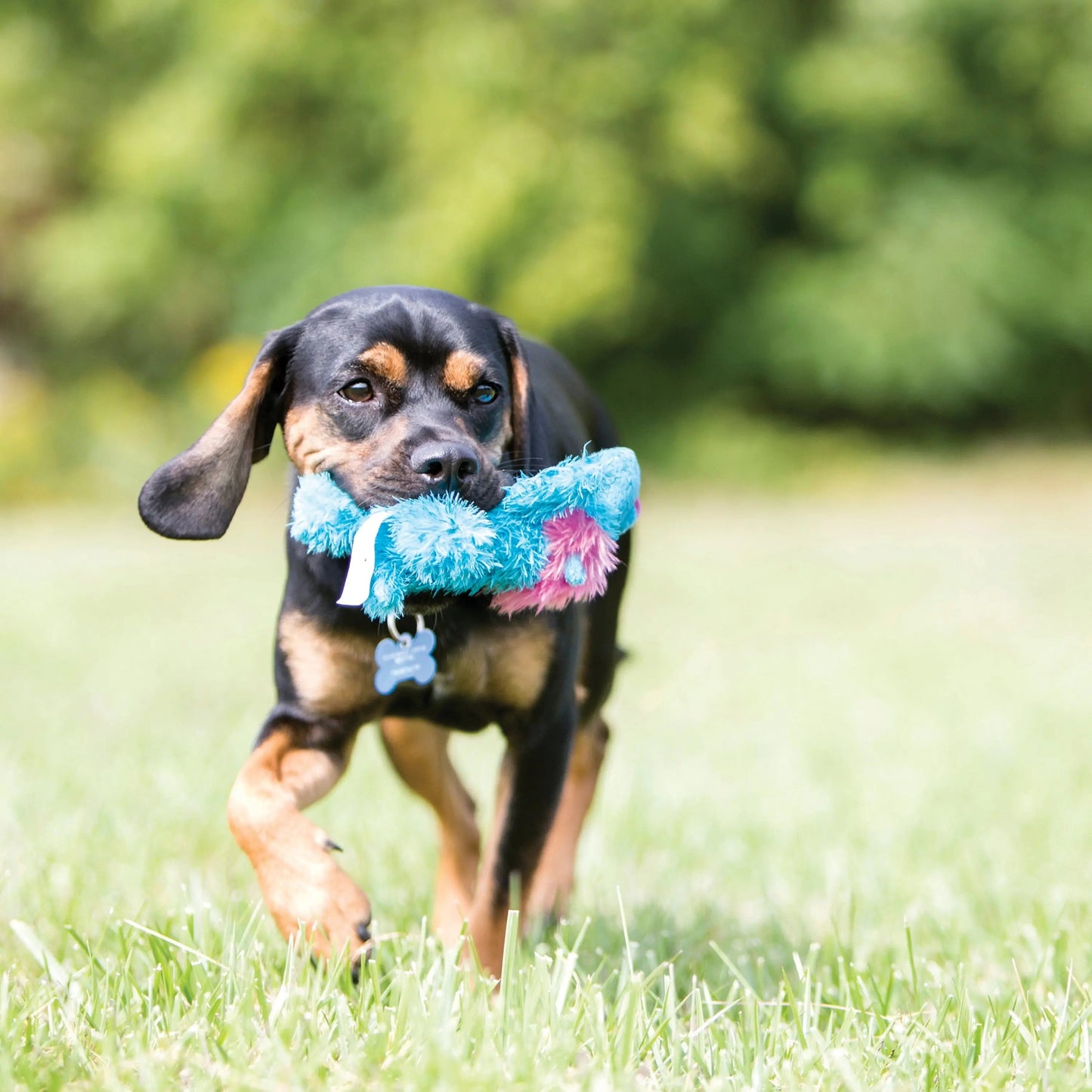 Jouet pour chien Cozie™ Marvin l'orignal, taille moyenne