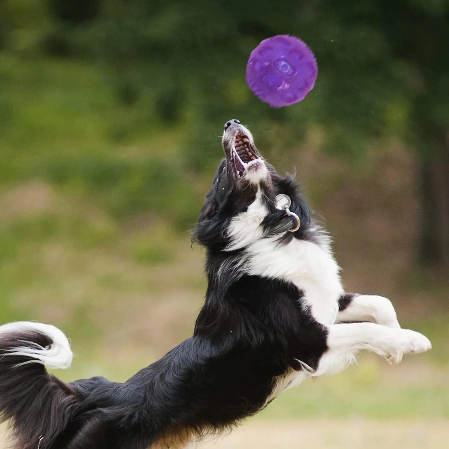 Pelotas de juguete chirriantes de 7,6 cm para perros de razas grandes y medianas. Son indestructibles para jugar, buscar y recuperar. Son resistentes y masticables. 2 unidades, color azul.