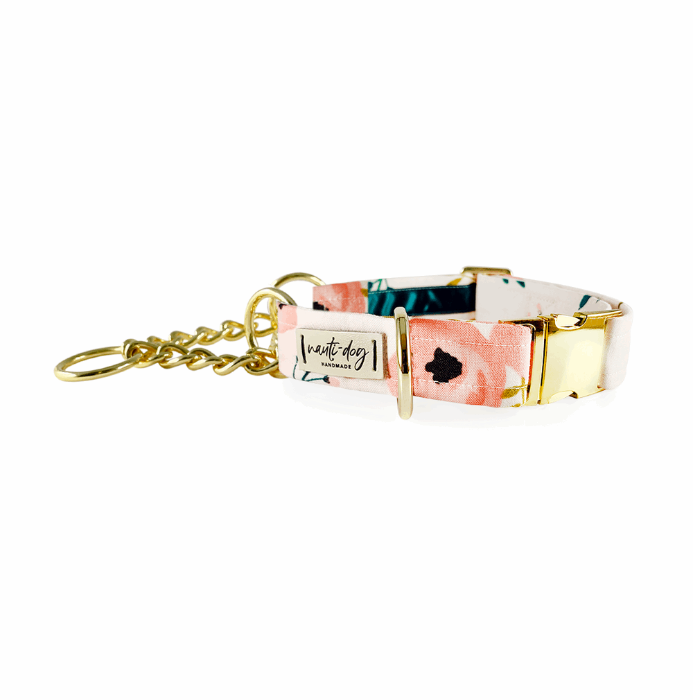 Collier pour chien Charleston Blush Floral Tea Rose à boucle et martingale