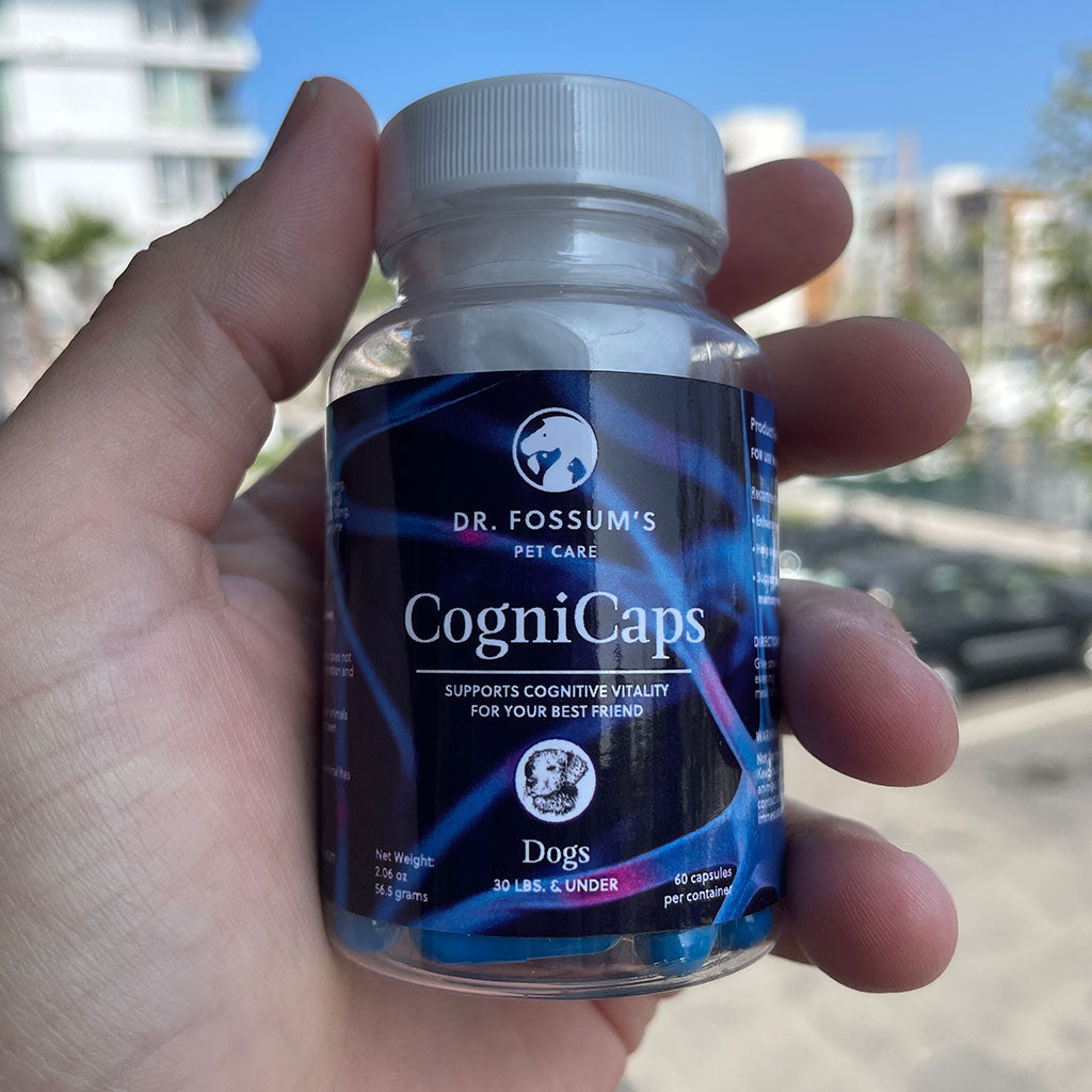 CogniCaps - Canine Cognitive Function Supplement for Dogs