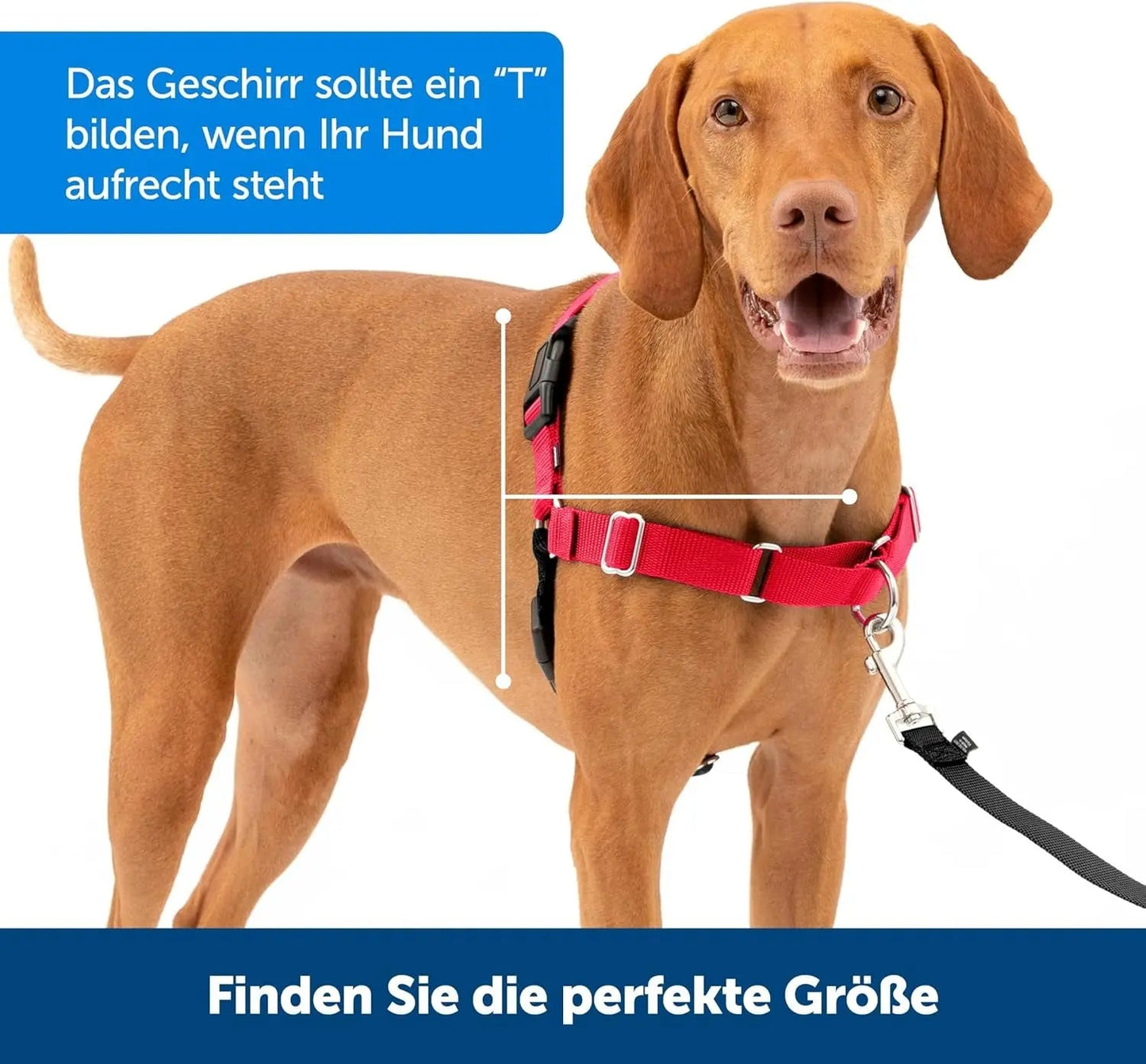 Chaqueta para perros Loft - Abrigo reversible y acogedor para aventuras al aire libre - Resistente al agua - Corte deportivo - Tejido lavable a máquina - Reflectante - Talla mediana - Rojo chile