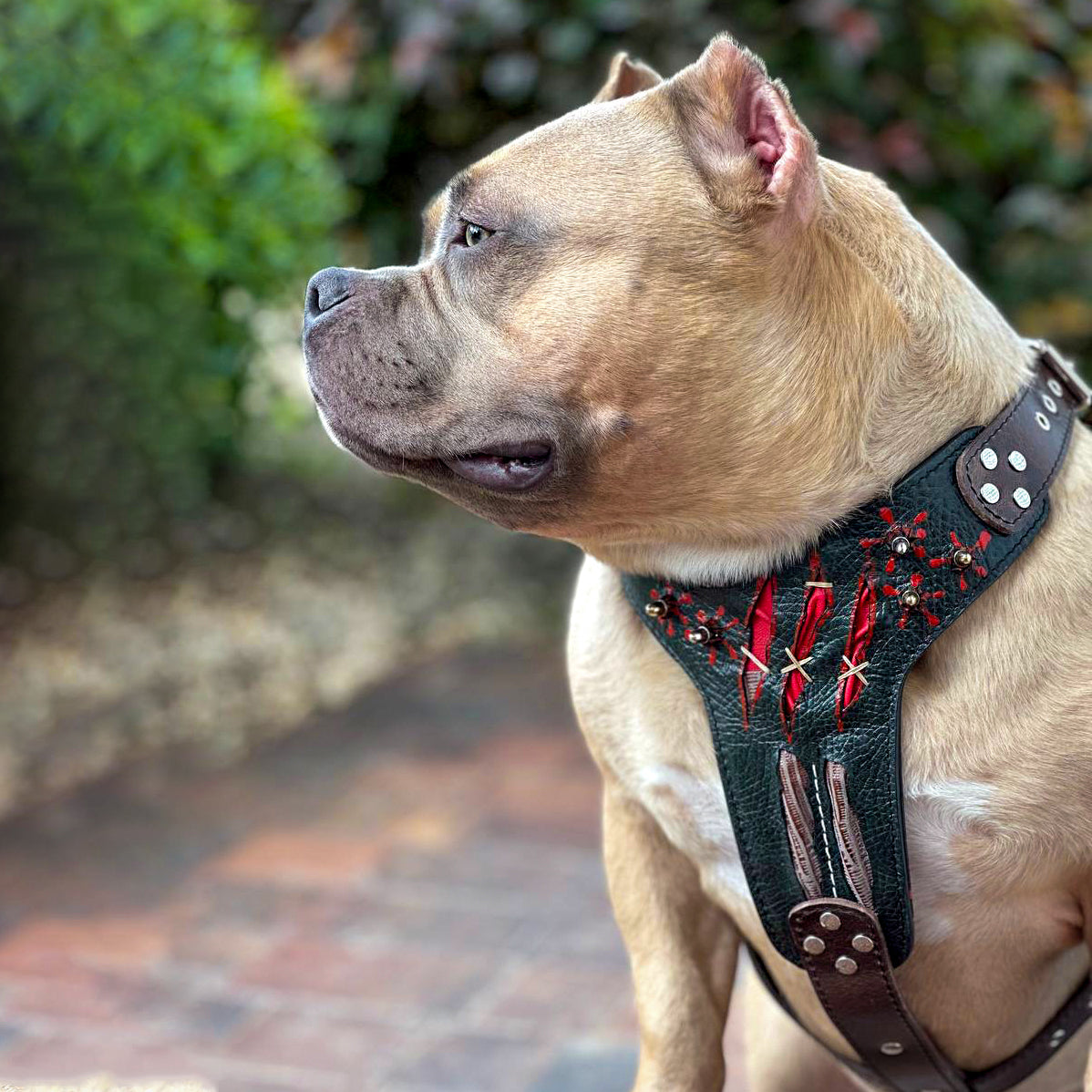 The ''Haunted'' harness LIMITED
