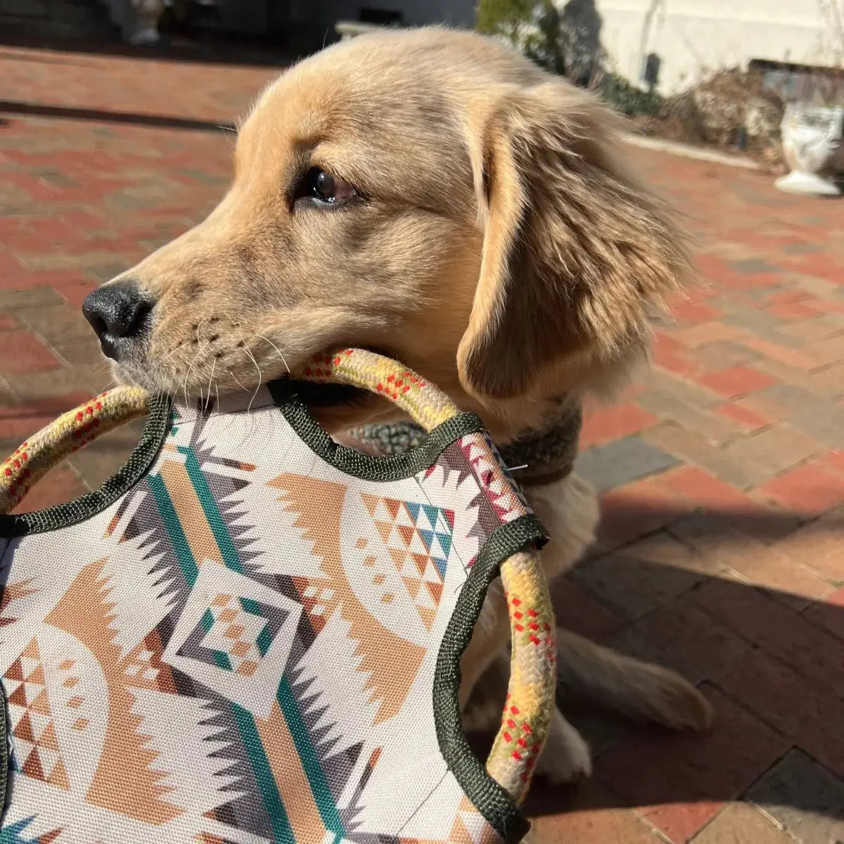 Jouet pour chien en corde à disque volant Pendleton