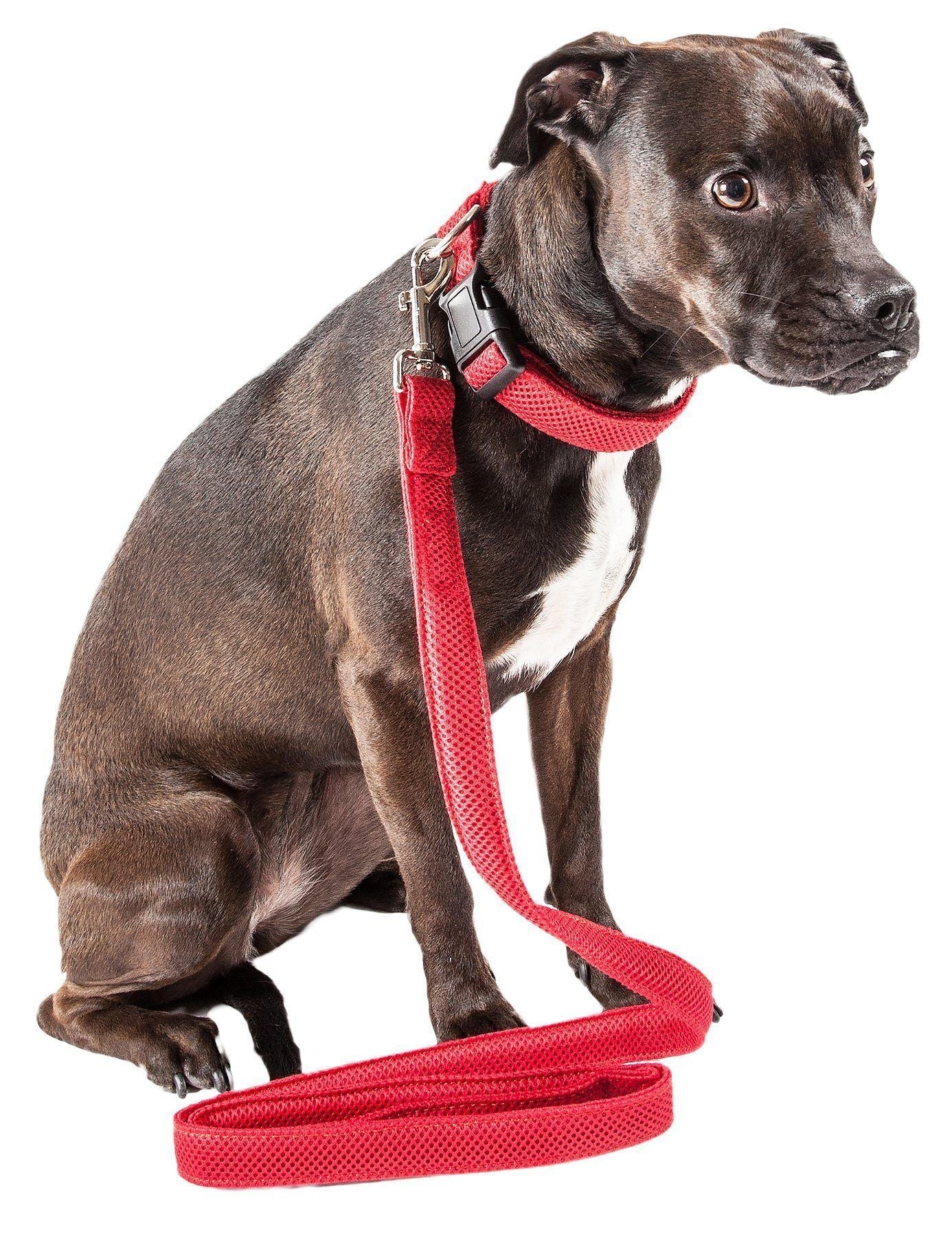 Pet Life ® 'Aero Mesh' Breathable and Adjustable Dual Sided Thick Mesh Dog Leash