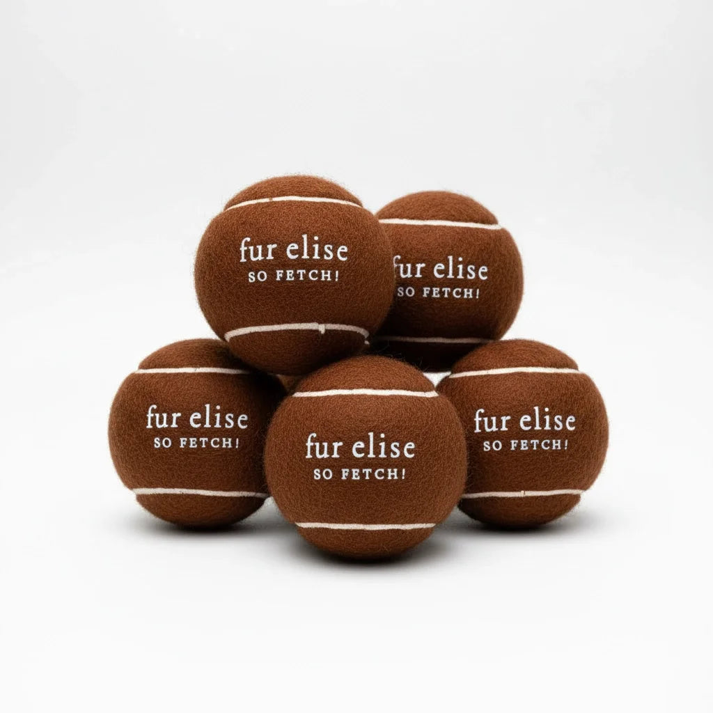 So Fetch! Lot de 5 balles de tennis - Brune