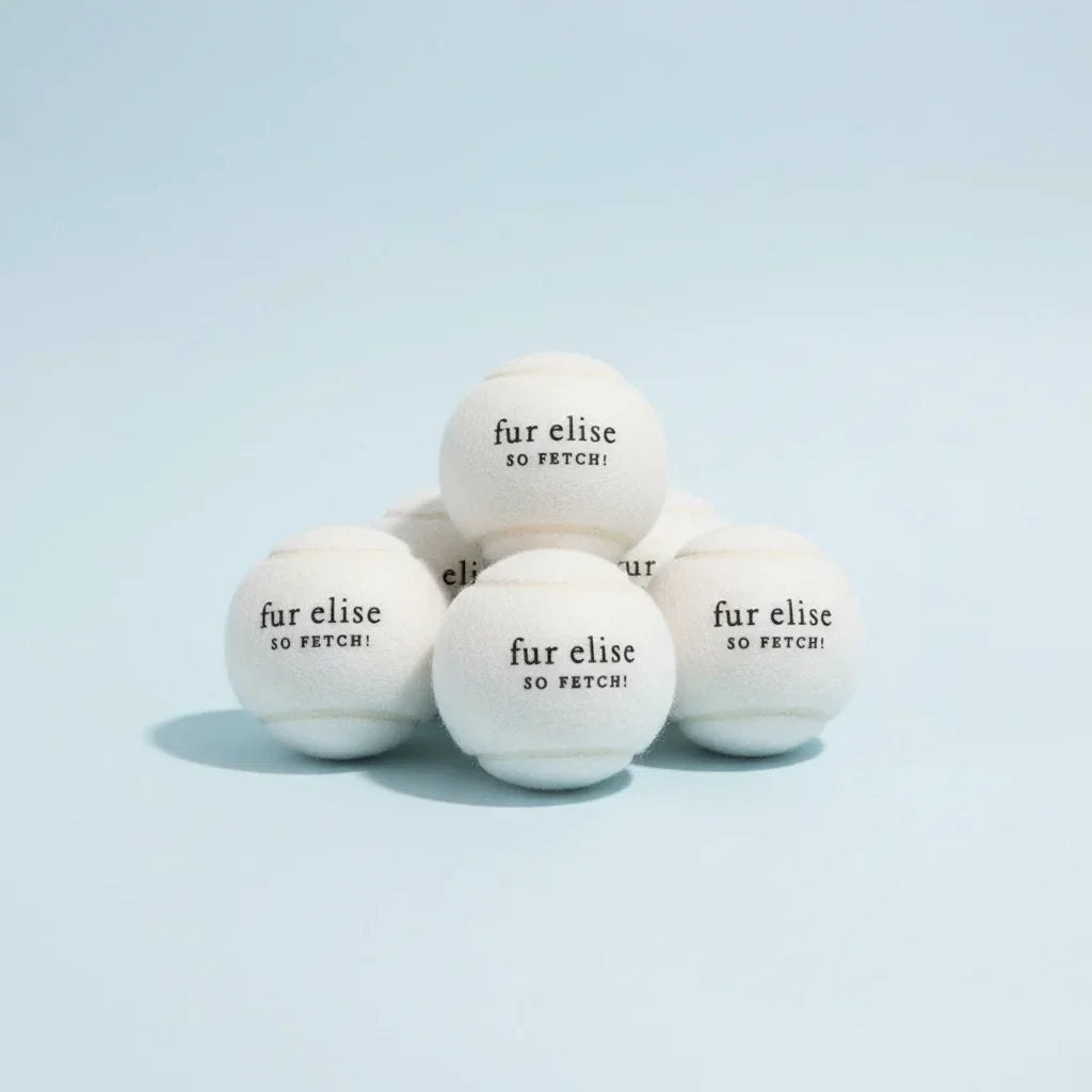 So Fetch! Tennis Ball Pack of 5 - Ivory