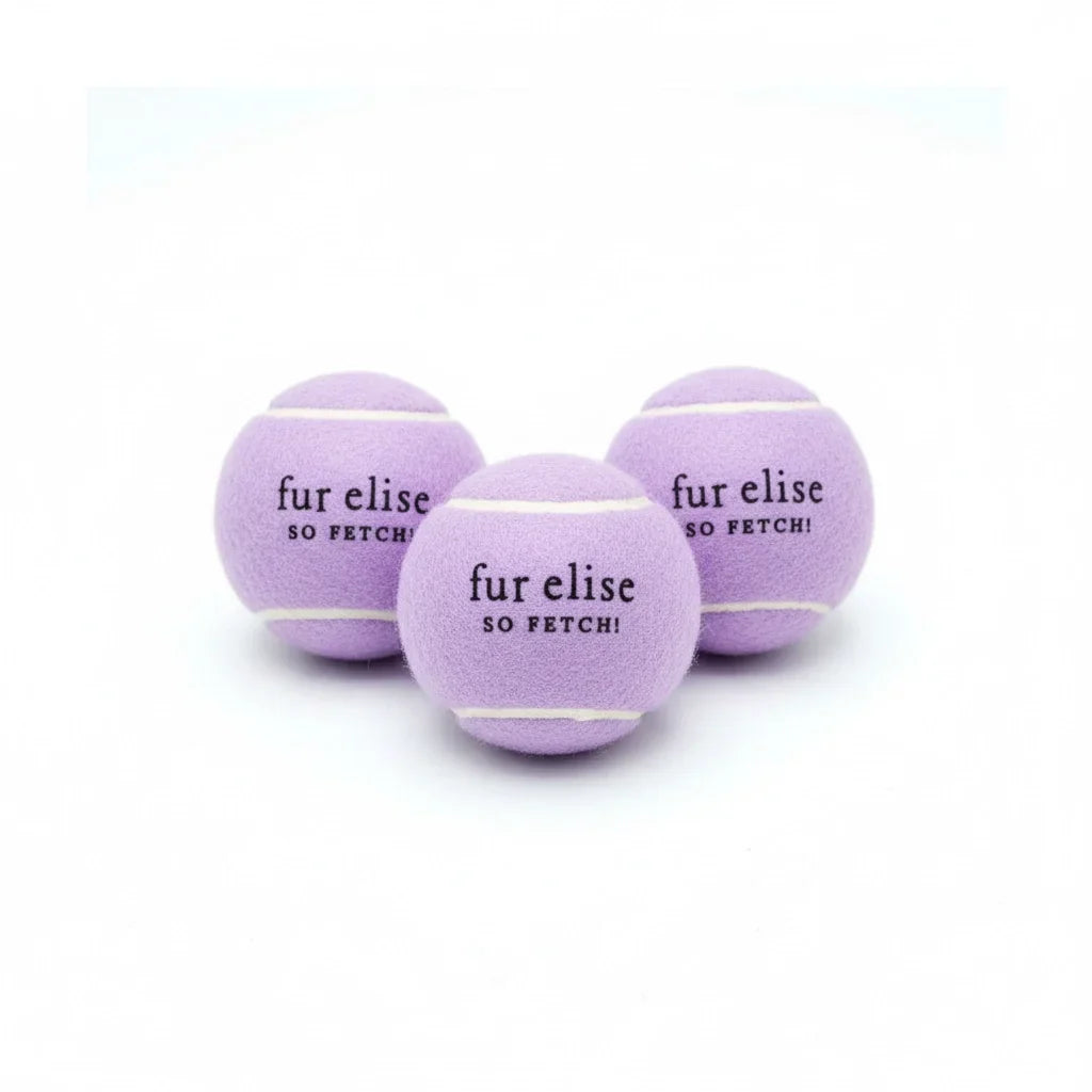 Lot de 3 balles de tennis So Fetch! - Lilas