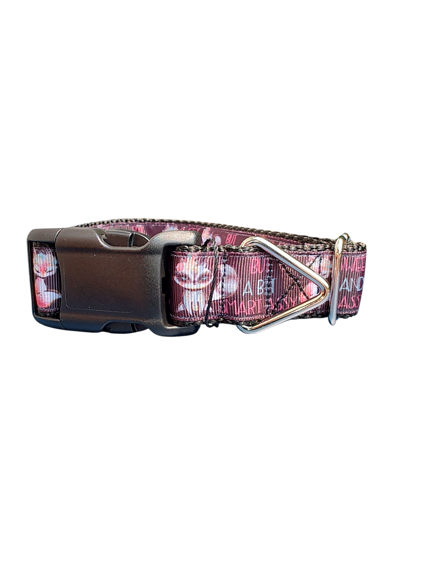 Sweet, Sassy, Smart Assy Nylon Dog Collar