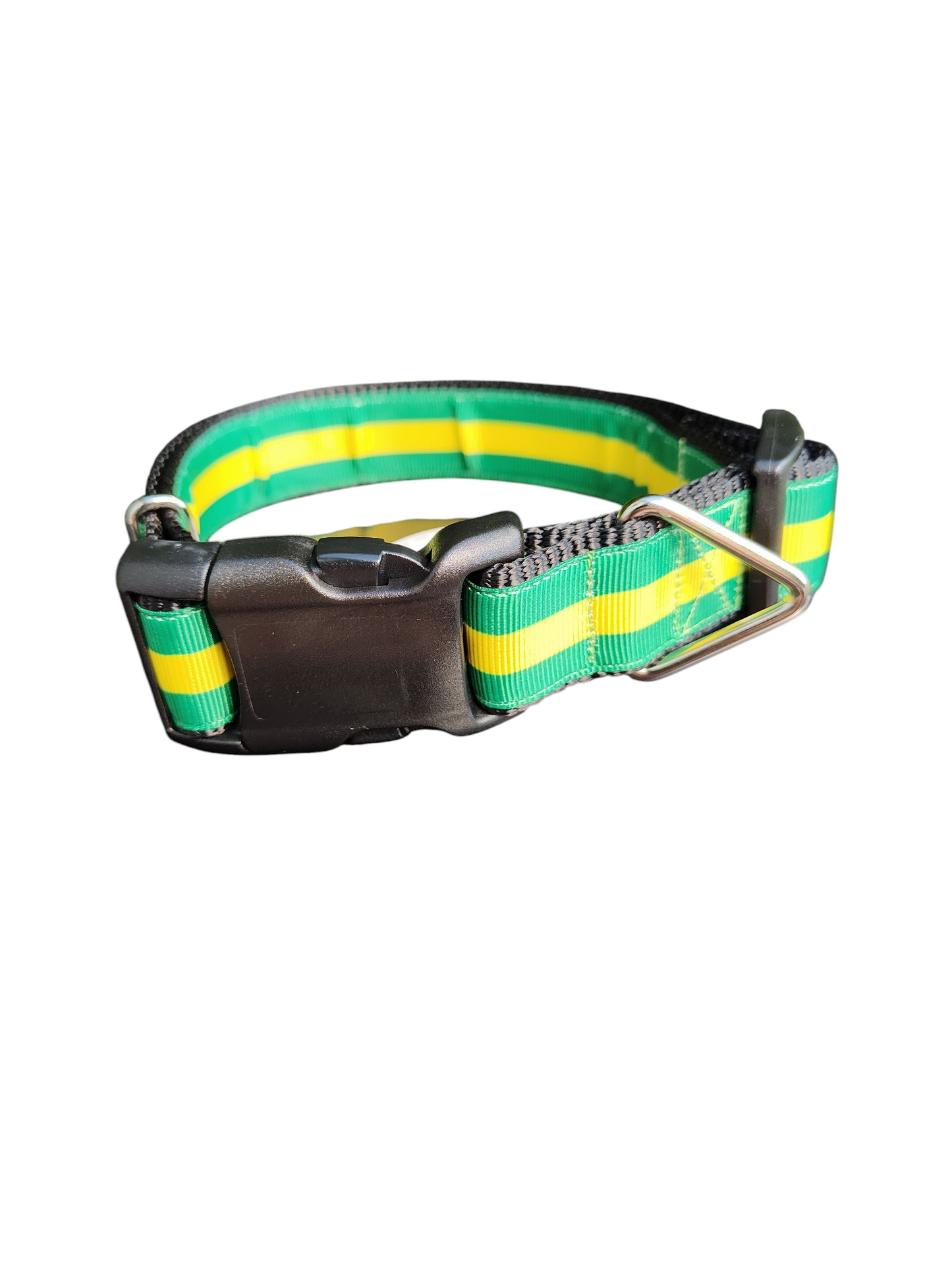 Collier pour chien en nylon vert et or