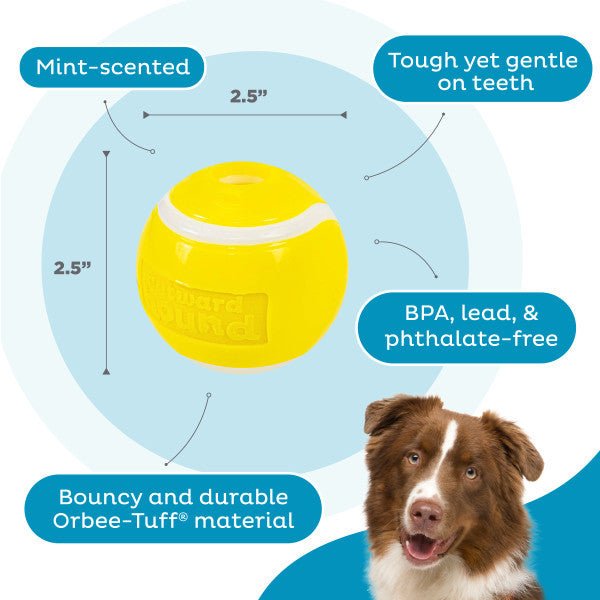 pelota de cuerda