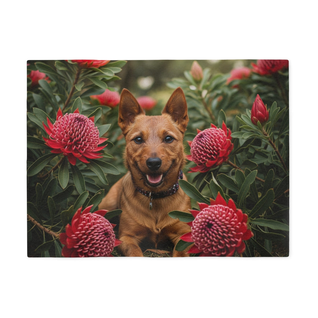 Flora Collection