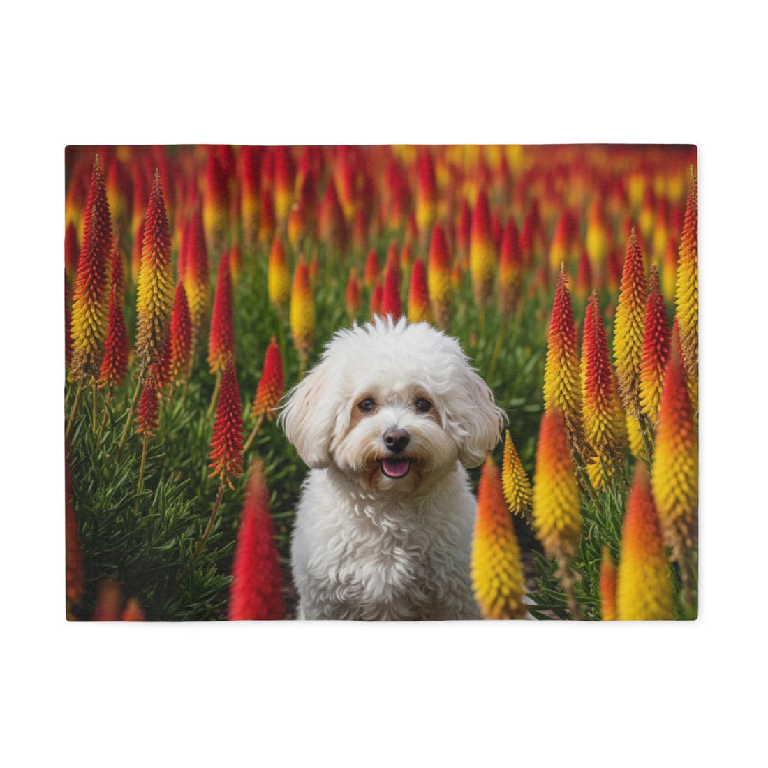 Available Featured Breeds