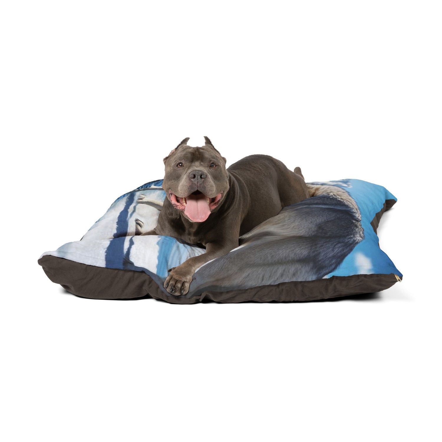 Quality Pet Beds and Cozy Blankets