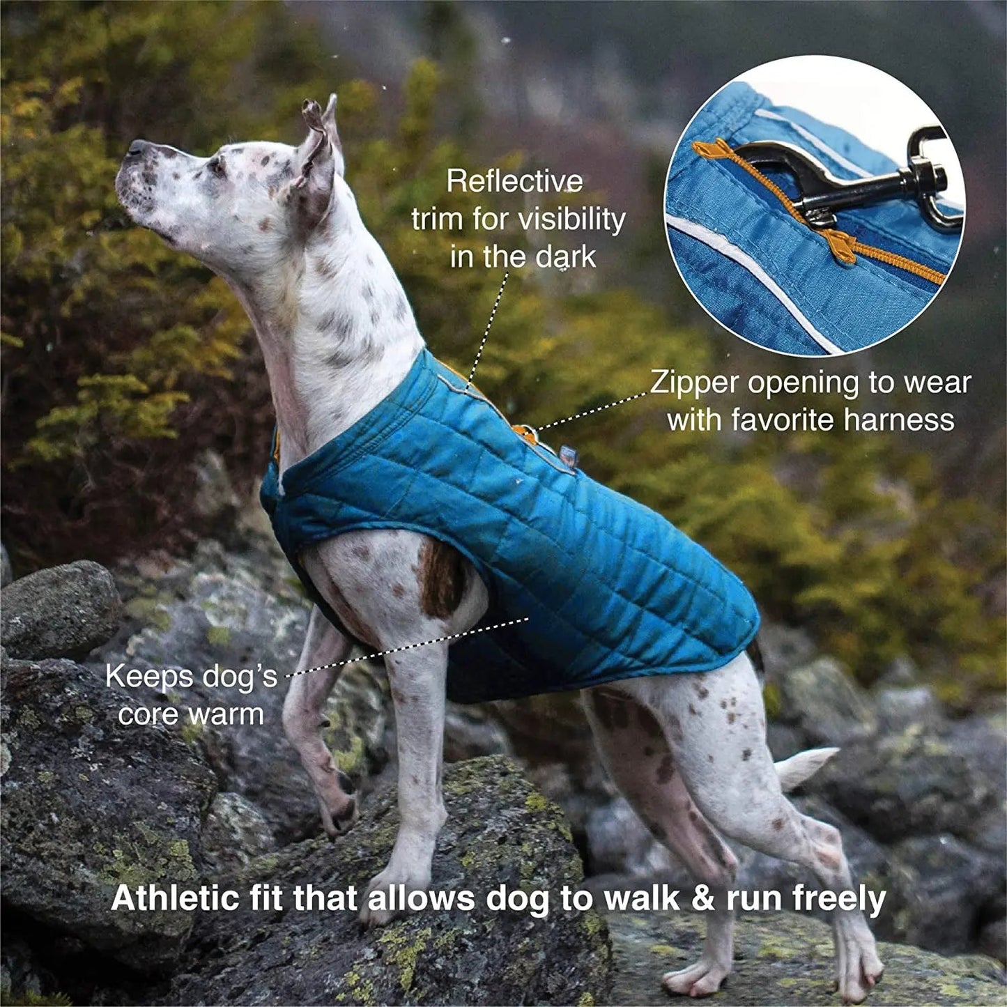 Manteau Loft pour chien, réversible, idéal par temps froid, imperméable et doté de bandes réfléchissantes, noir/jaune, taille moyenne