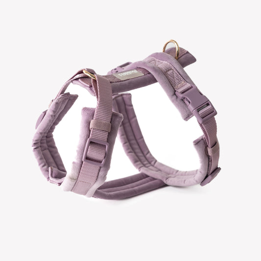Harnais pour chien Lilas - Velours