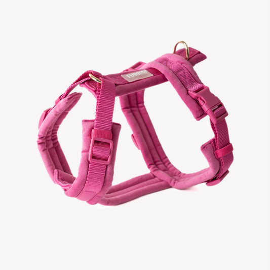 Harnais pour chien en velours magenta