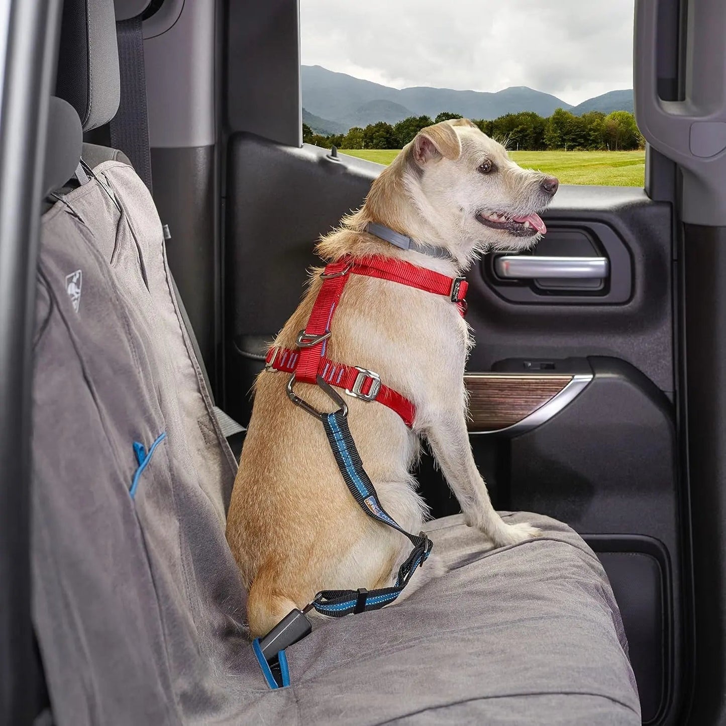 Sujeción directa al cinturón de seguridad - Clip fácil de usar para arnés de coche para perros - Correa ajustable - Ajuste universal para la mayoría de los vehículos - Herrajes de acero - Sujeción para asiento trasero - Azul costero