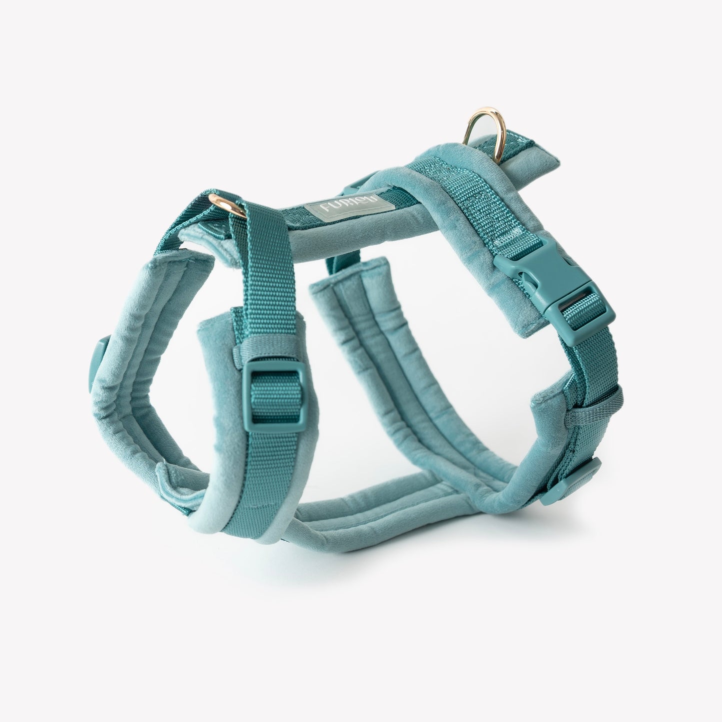 Harnais pour chien bleu en velours