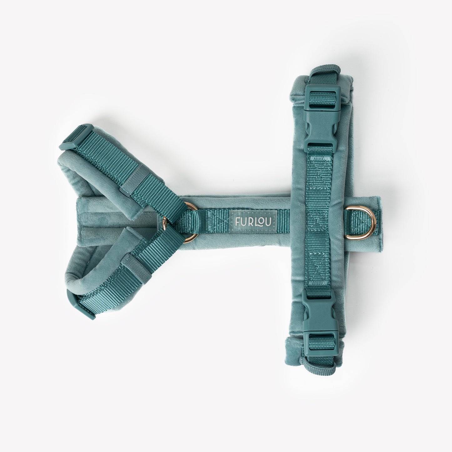 Harnais pour chien bleu en velours