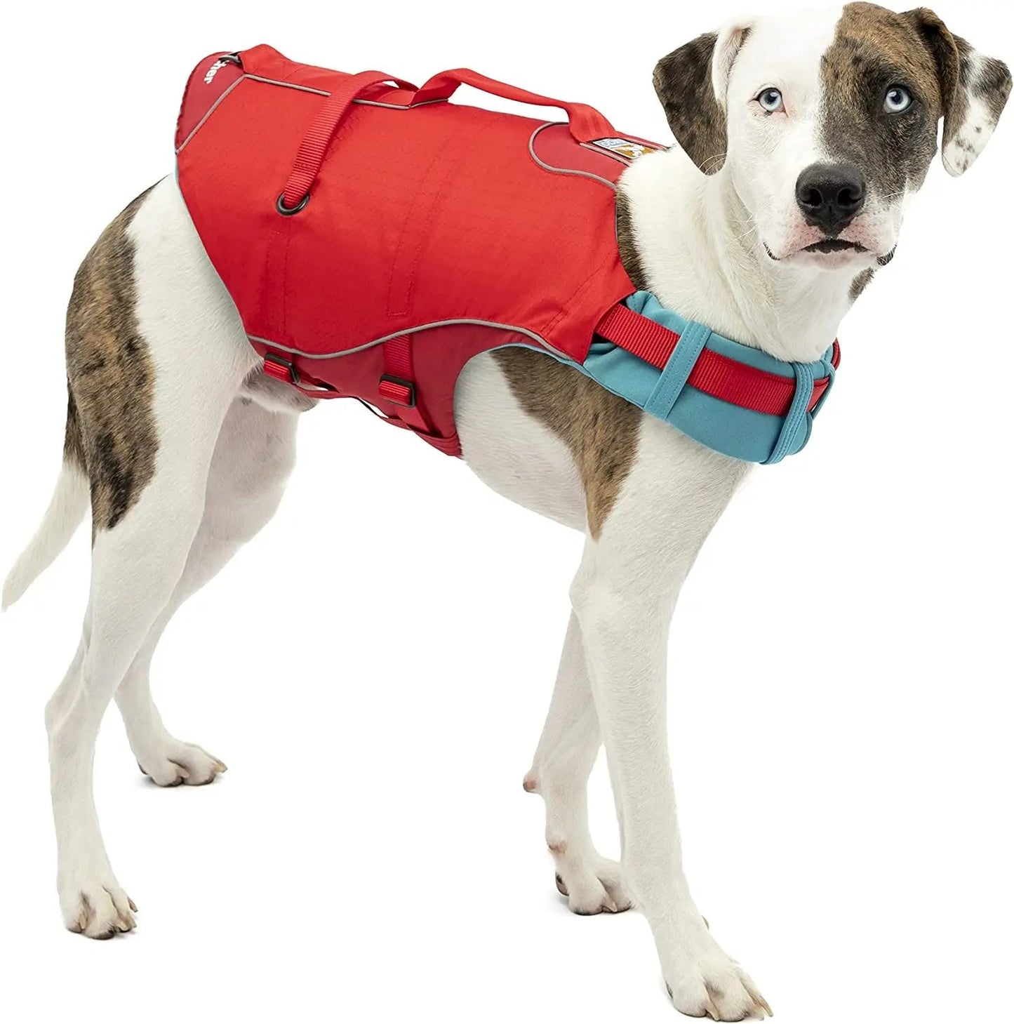 Gilet de sauvetage pour chien Surf N' Turf - Gilet de sauvetage flottant pour la natation et la navigation de plaisance