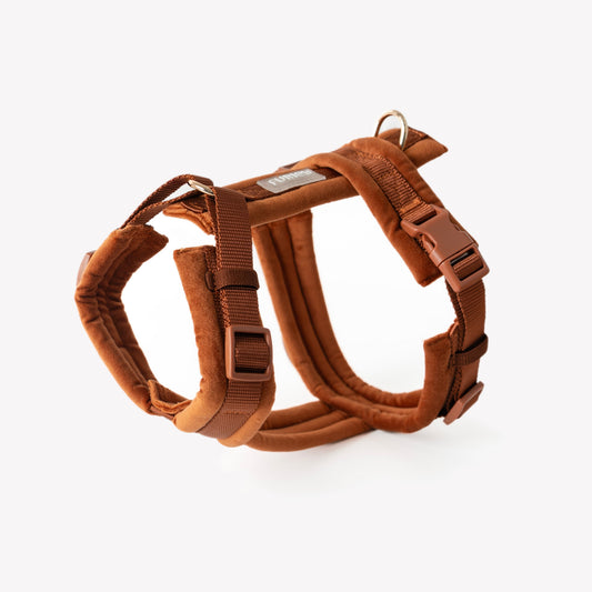 Argile - Harnais pour chien en velours