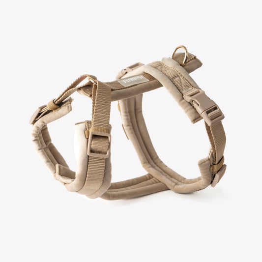Harnais pour chien en velours sable