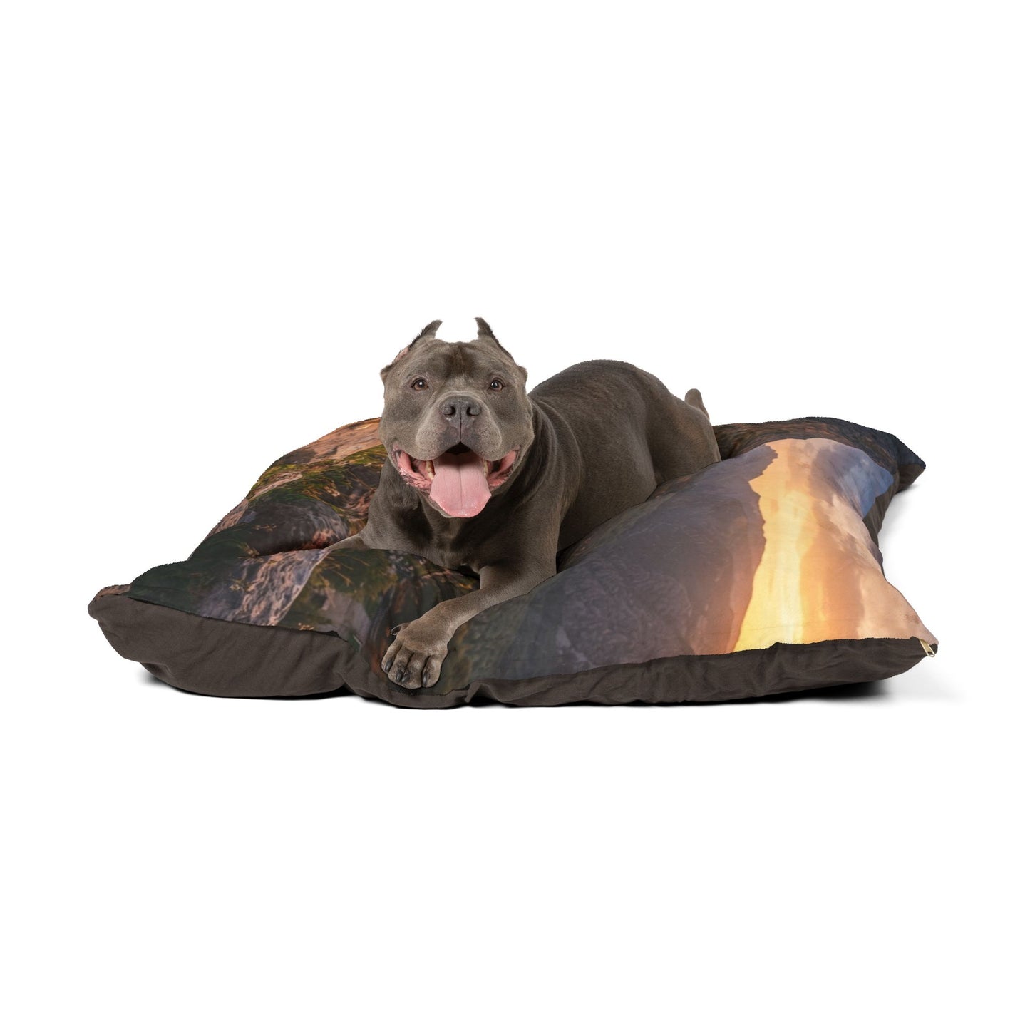 Kokoni Pet Bed