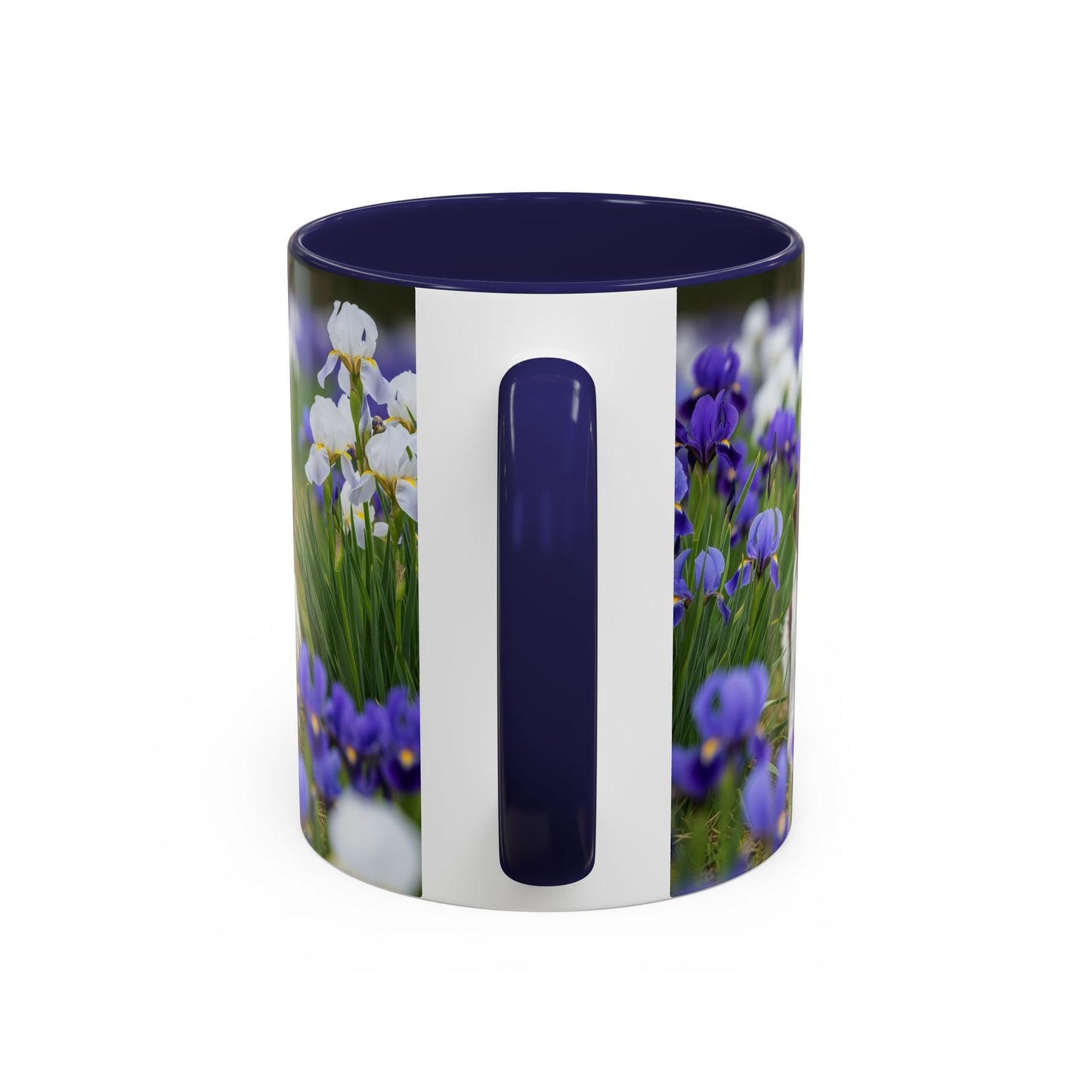 Mug Stabyhouns Accent - Cadeau idéal pour les amoureux des chiens