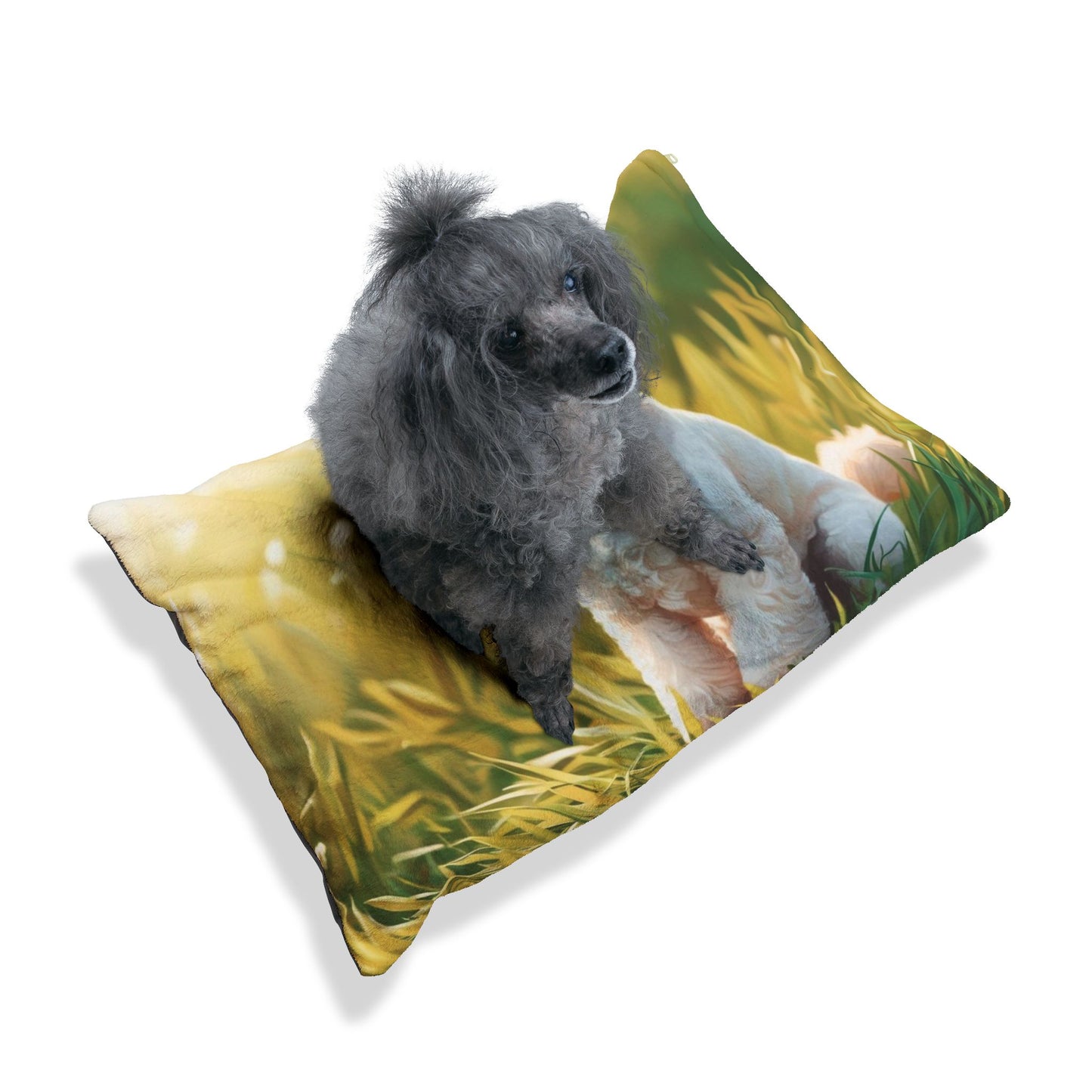 Miniature Poodle Pet Bed