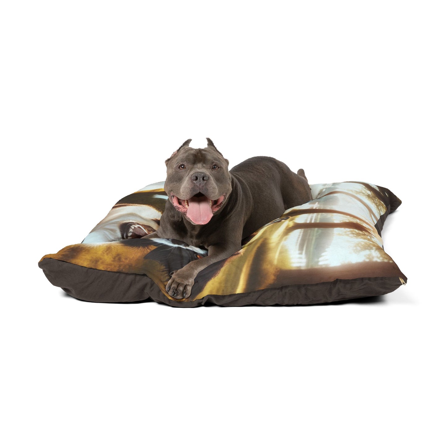 Lit pour animaux Stabyhouns