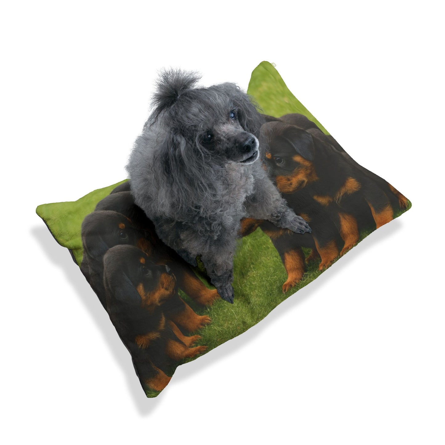Rottweiler puppies Pet Bed