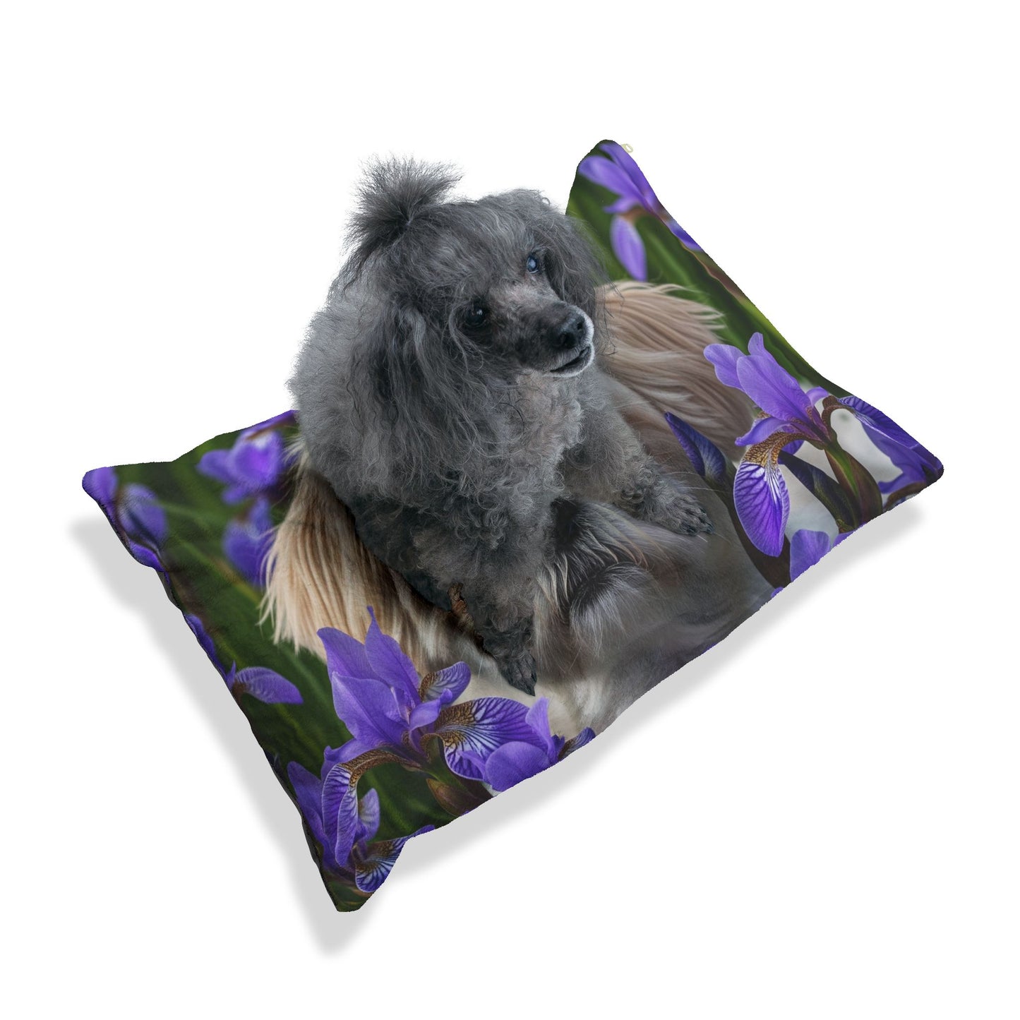 Cama para mascotas Shihchon