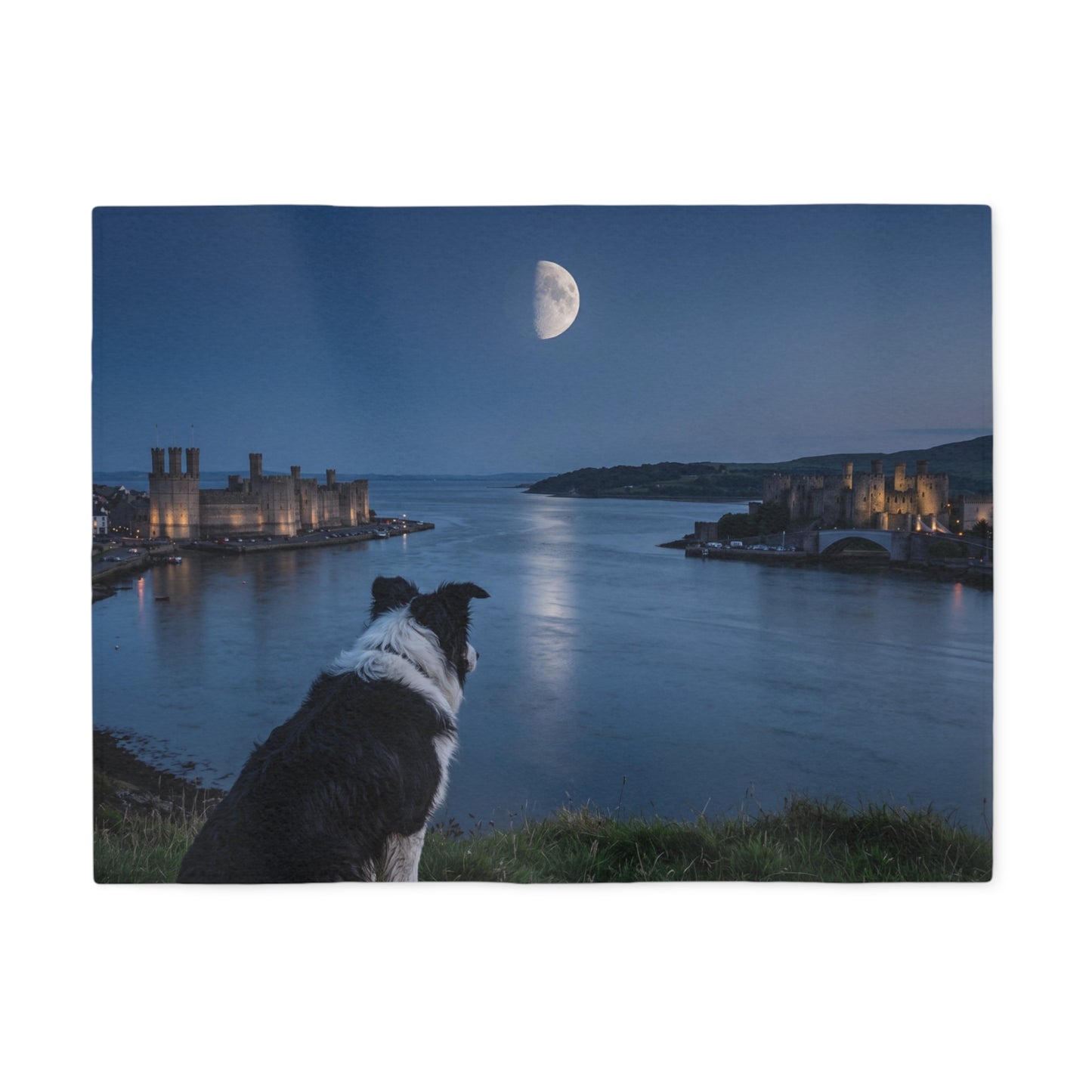 Welsh Sheepdog Blanket