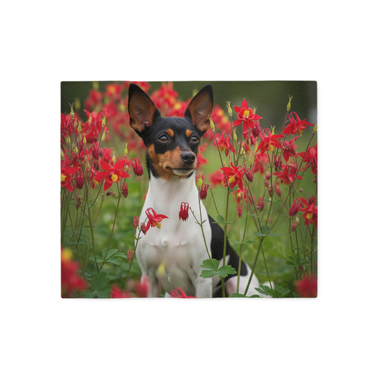 Toy Fox Terrier Sweatshirt Blanket
