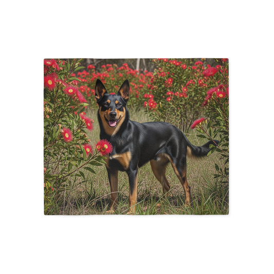 Australian Kelpie Sweatshirt Blanket