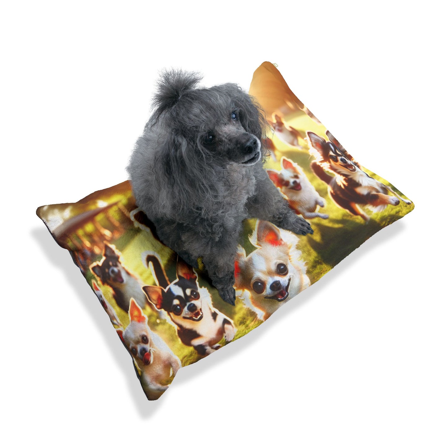Chihuahua Pet Bed