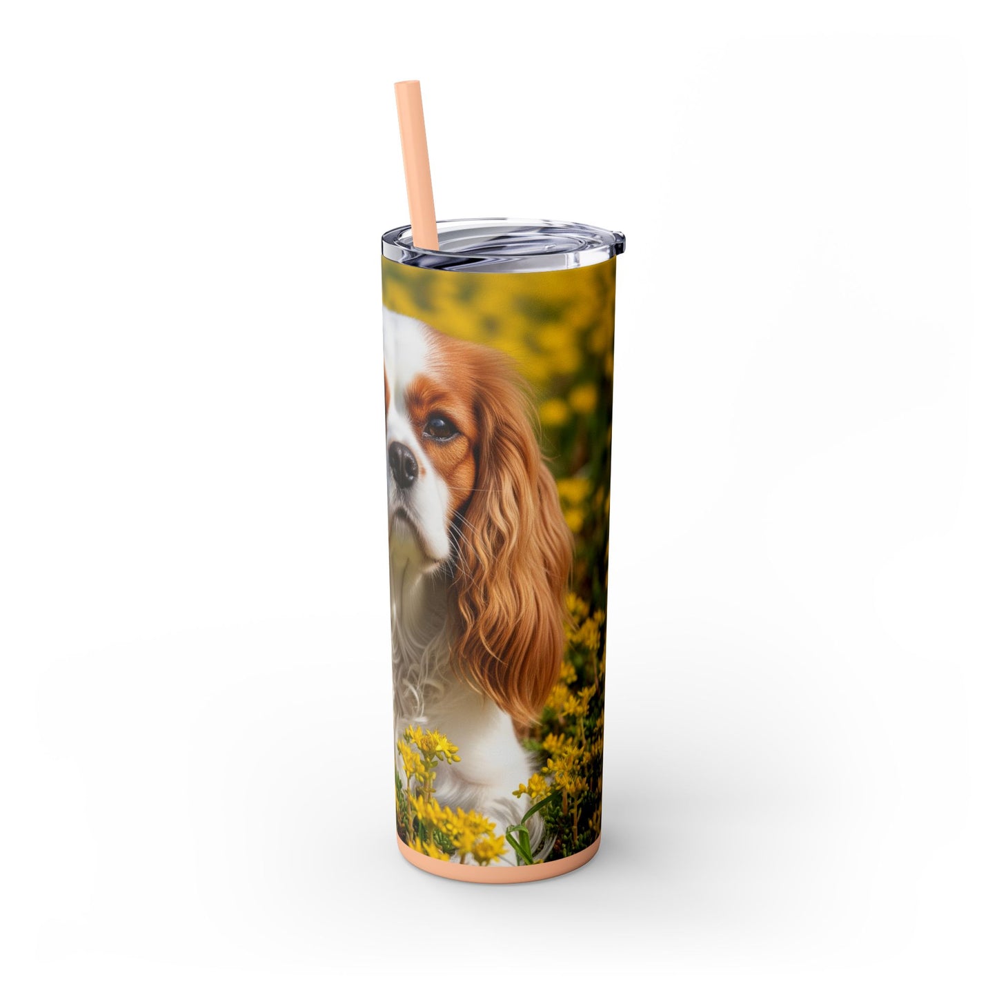 Skinny Tumbler with Straw – 20 oz Stainless Steel Cup