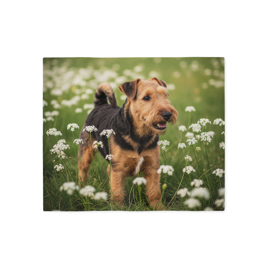 Lakeland Terrier Sweatshirt Blanket