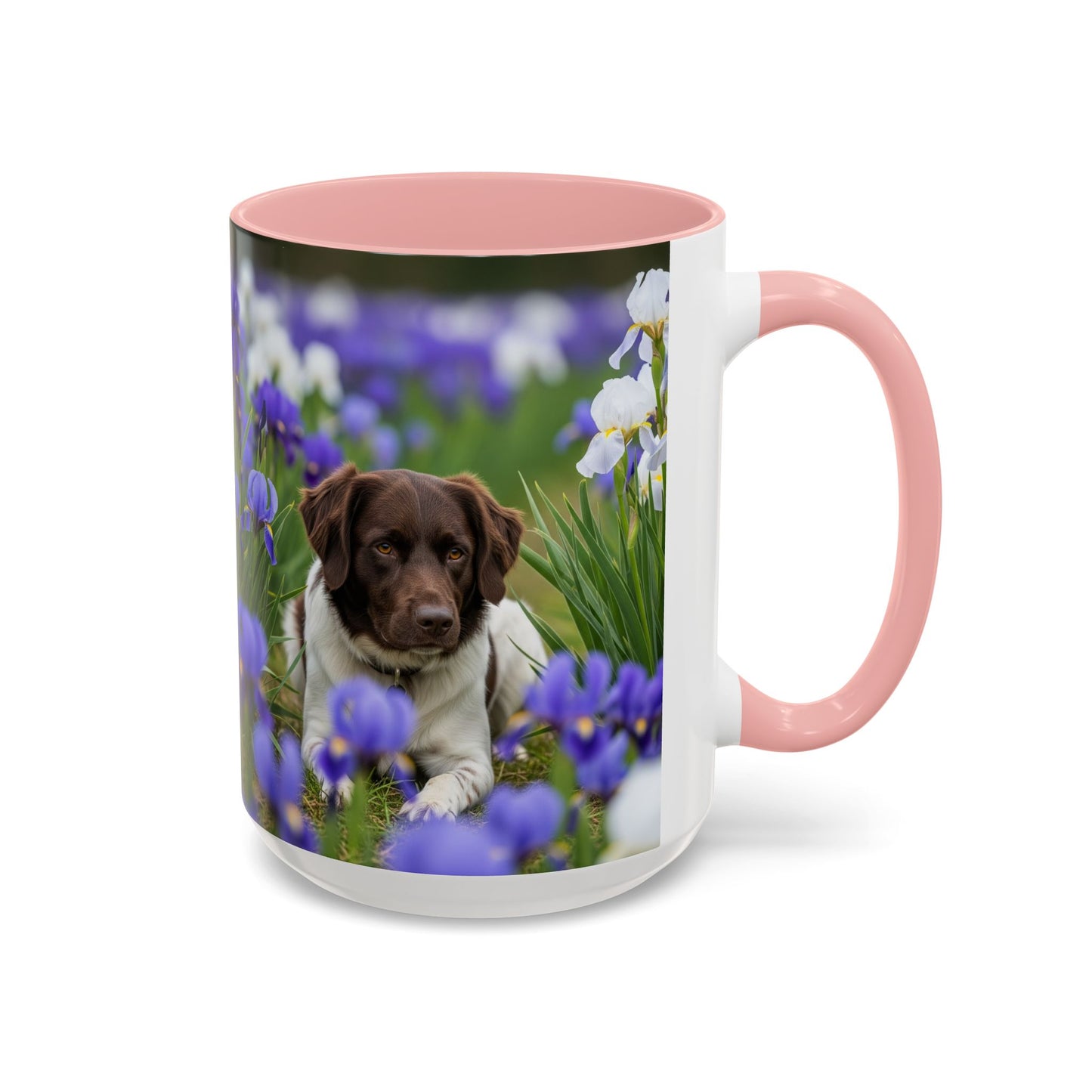 Mug Stabyhouns Accent - Cadeau idéal pour les amoureux des chiens