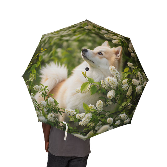 Finnish Spitz Semi-Automatic Foldable Umbrella