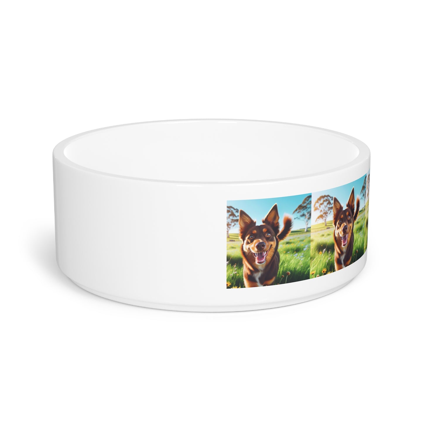 Australian Kelpie Pet Bowl