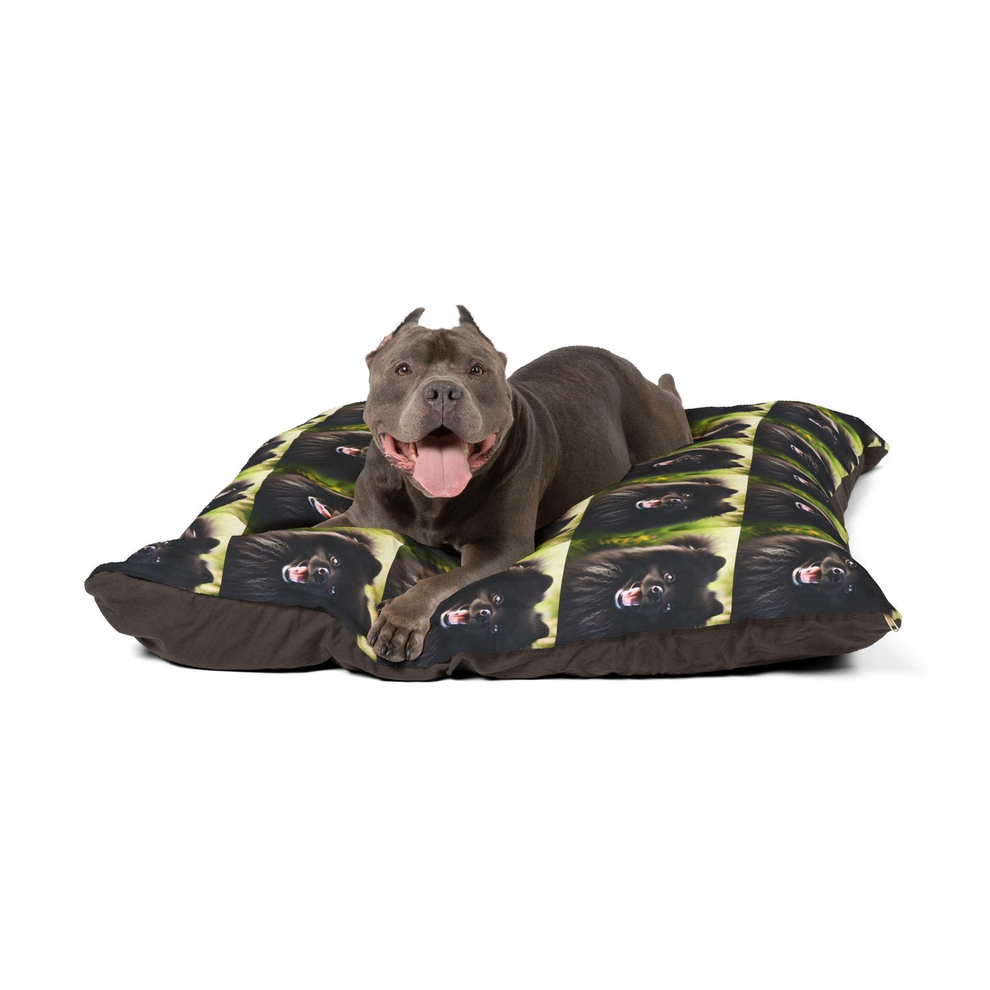 Swedish Lapphund Pet Bed