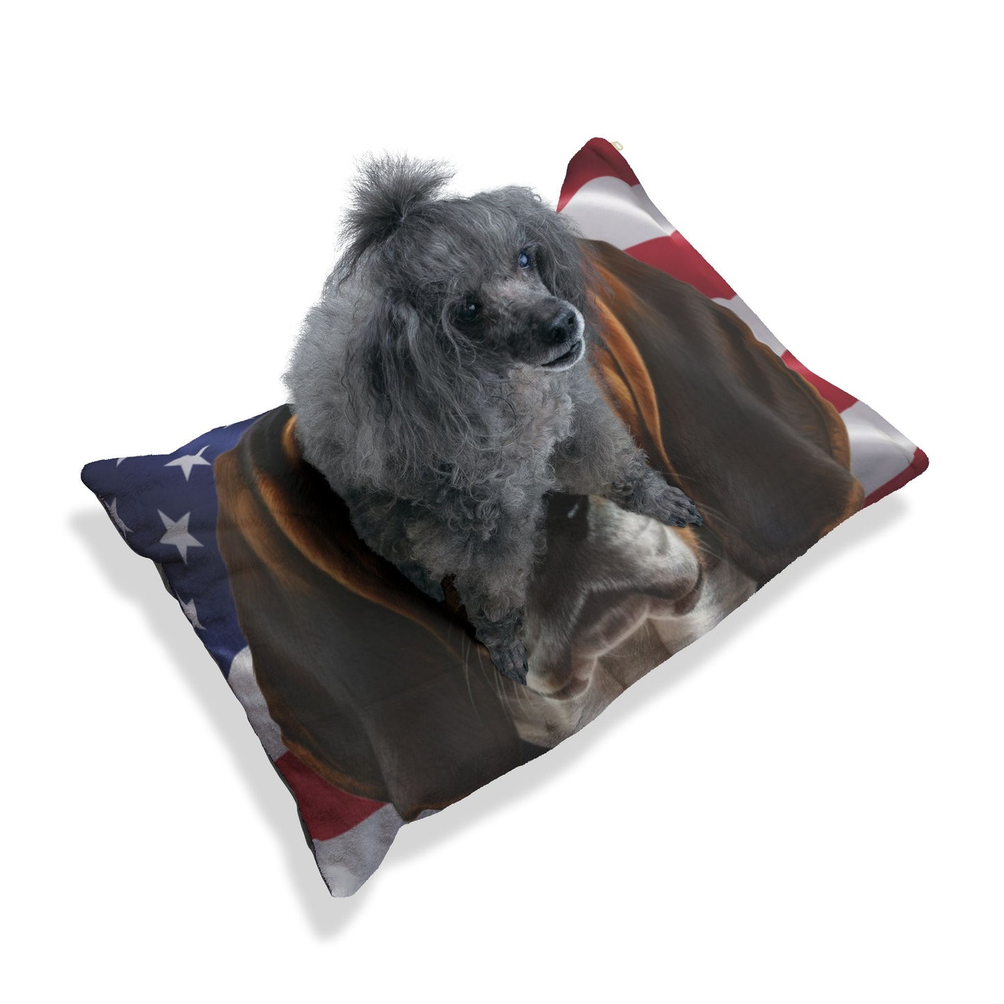 American Foxhound Patriotic Pet Bed